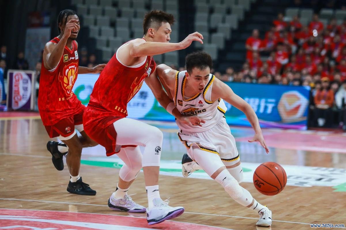 赵继伟19+7辽宁惜败同曦 周鹏20分深圳击败江苏