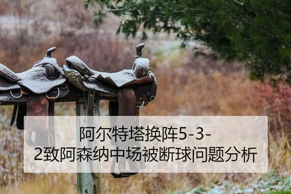a-er-te-ta-huan-zhen-zhi-a-sen-na-zhong-chang-bei-duan-qiu-wen-ti-fen-xi-2-518.jpg